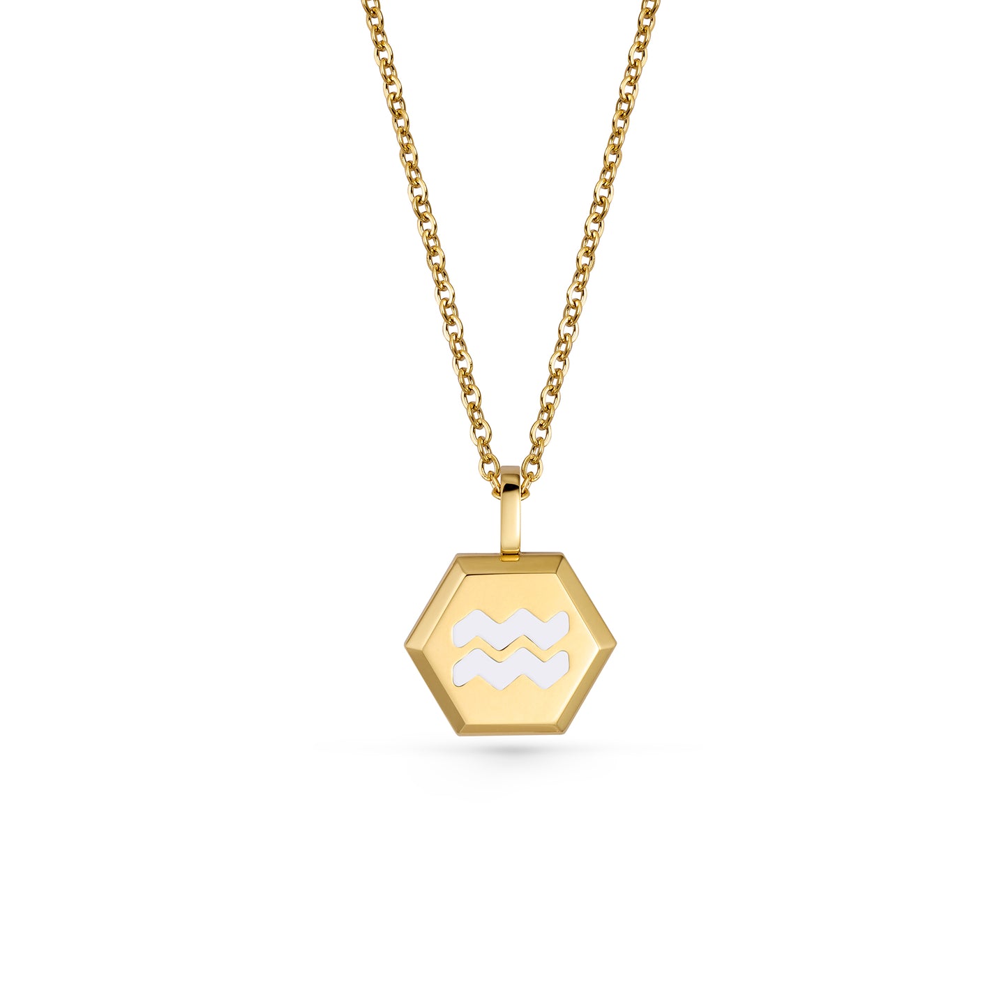 Aquarius Zodiac Pendant Necklace (Gold / Silver)