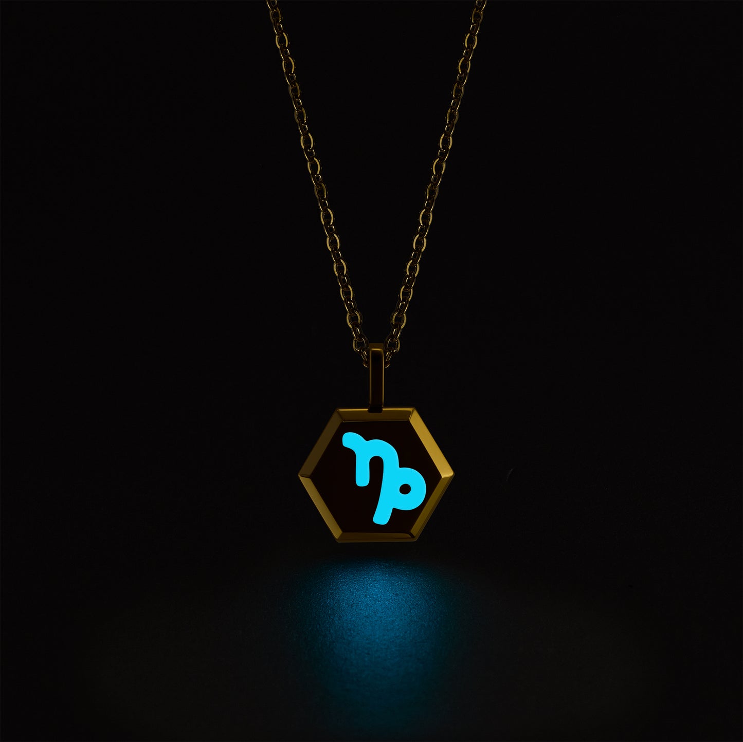 Capricorn Zodiac Pendant Necklace (Gold / Silver)