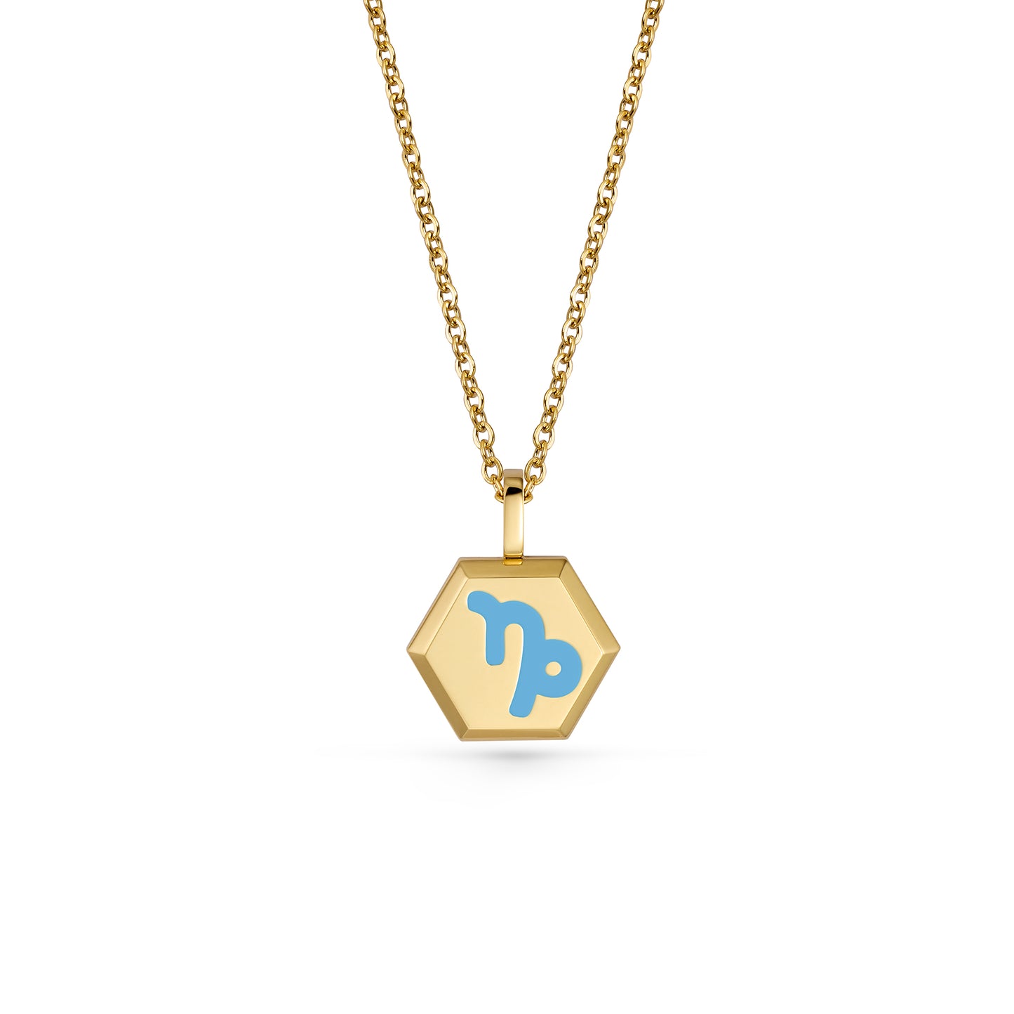Capricorn Zodiac Pendant Necklace (Gold / Silver)