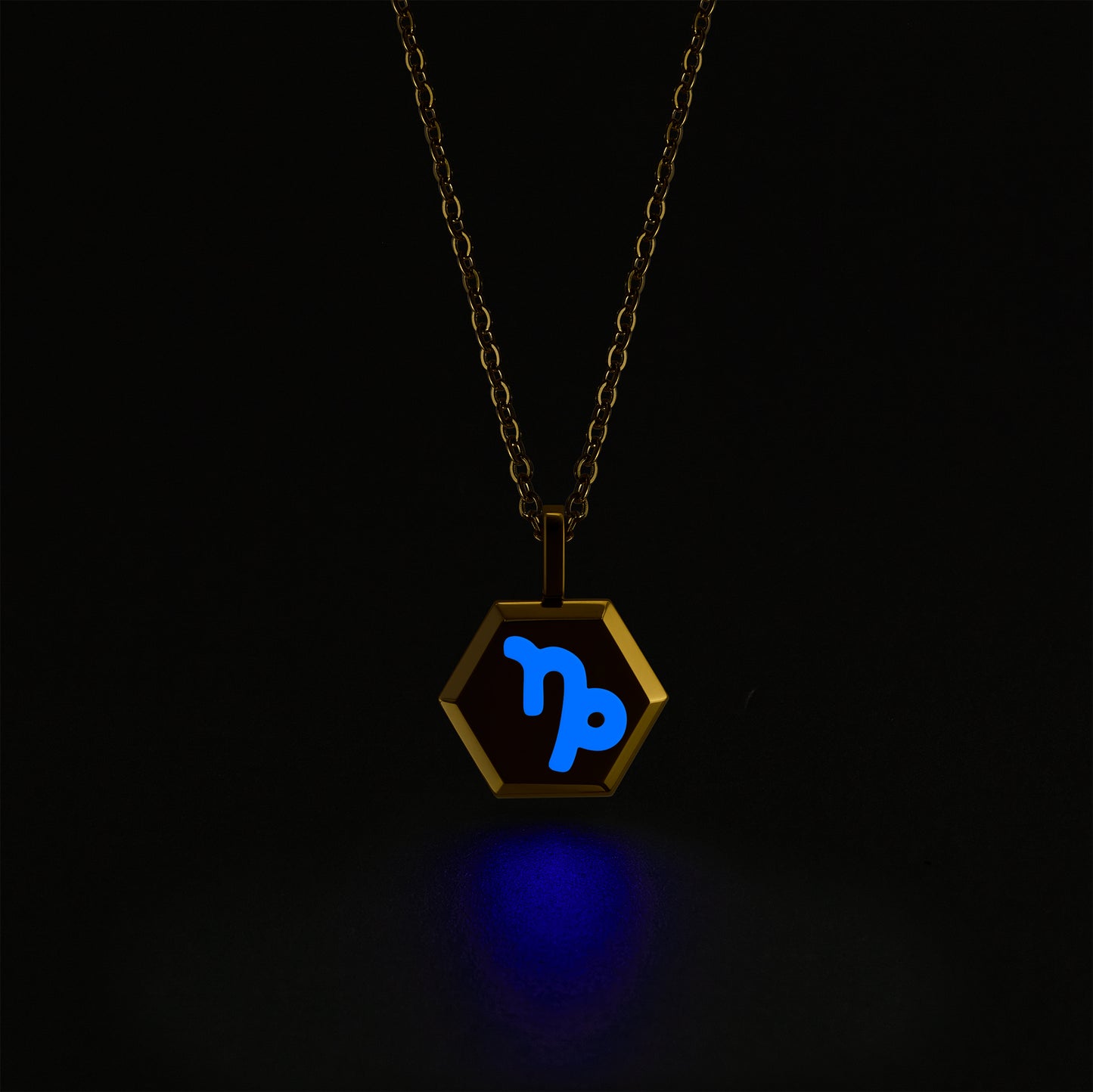 Capricorn Zodiac Pendant Necklace (Gold / Silver)