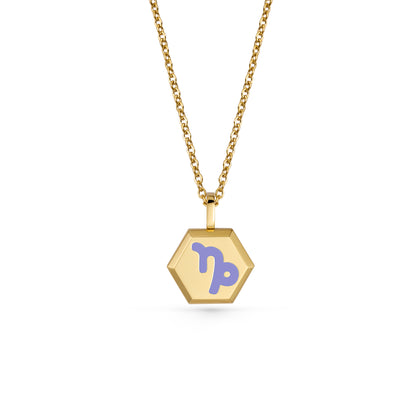 Capricorn Zodiac Pendant Necklace (Gold / Silver)
