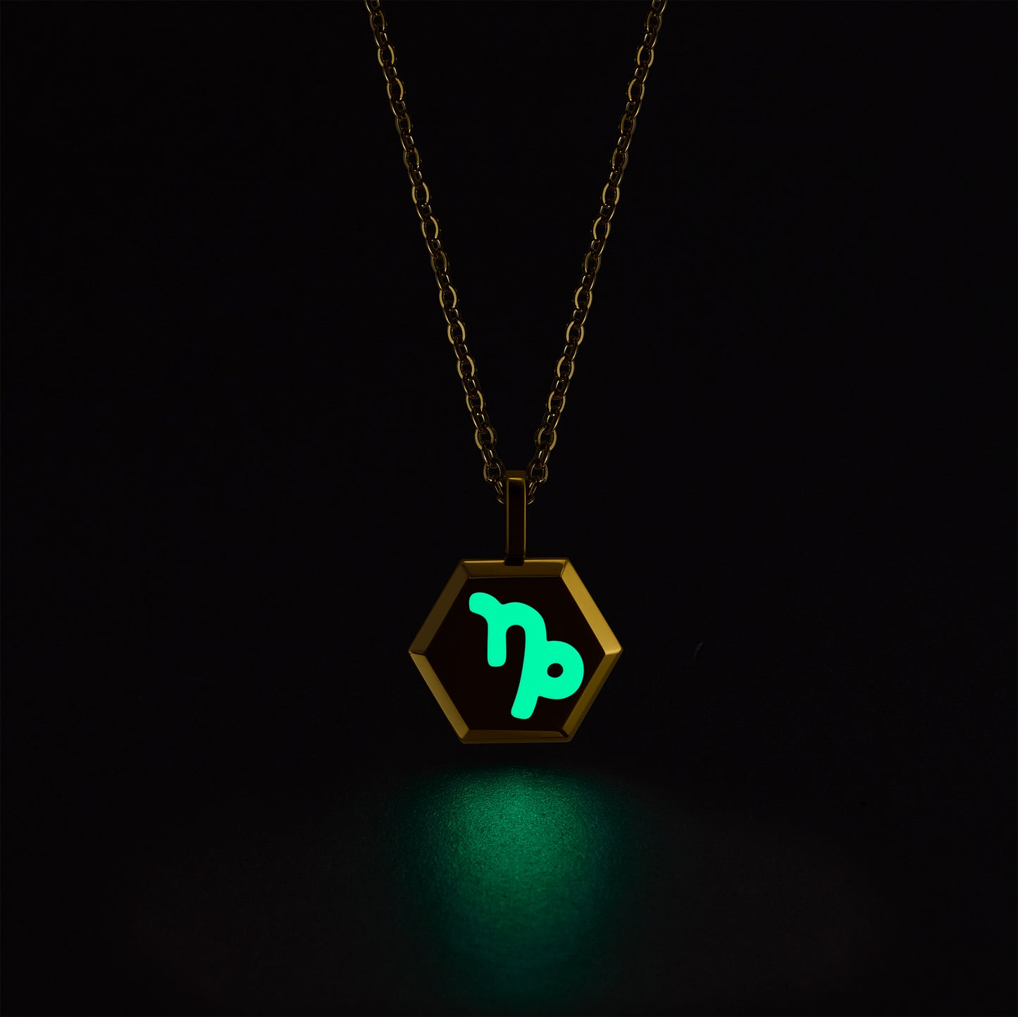 Capricorn Zodiac Pendant Necklace (Gold / Silver)