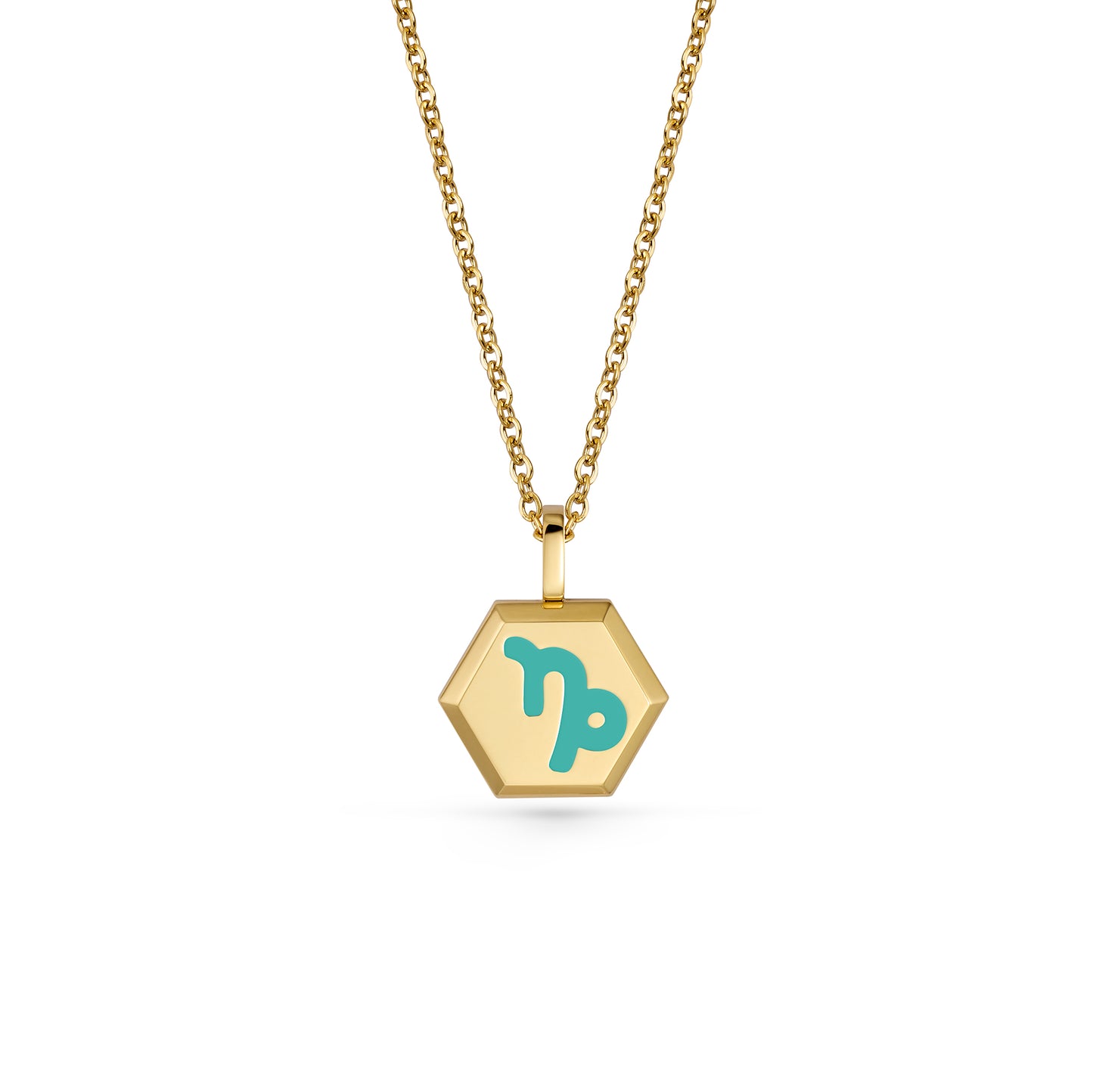 Capricorn Zodiac Pendant Necklace (Gold / Silver)