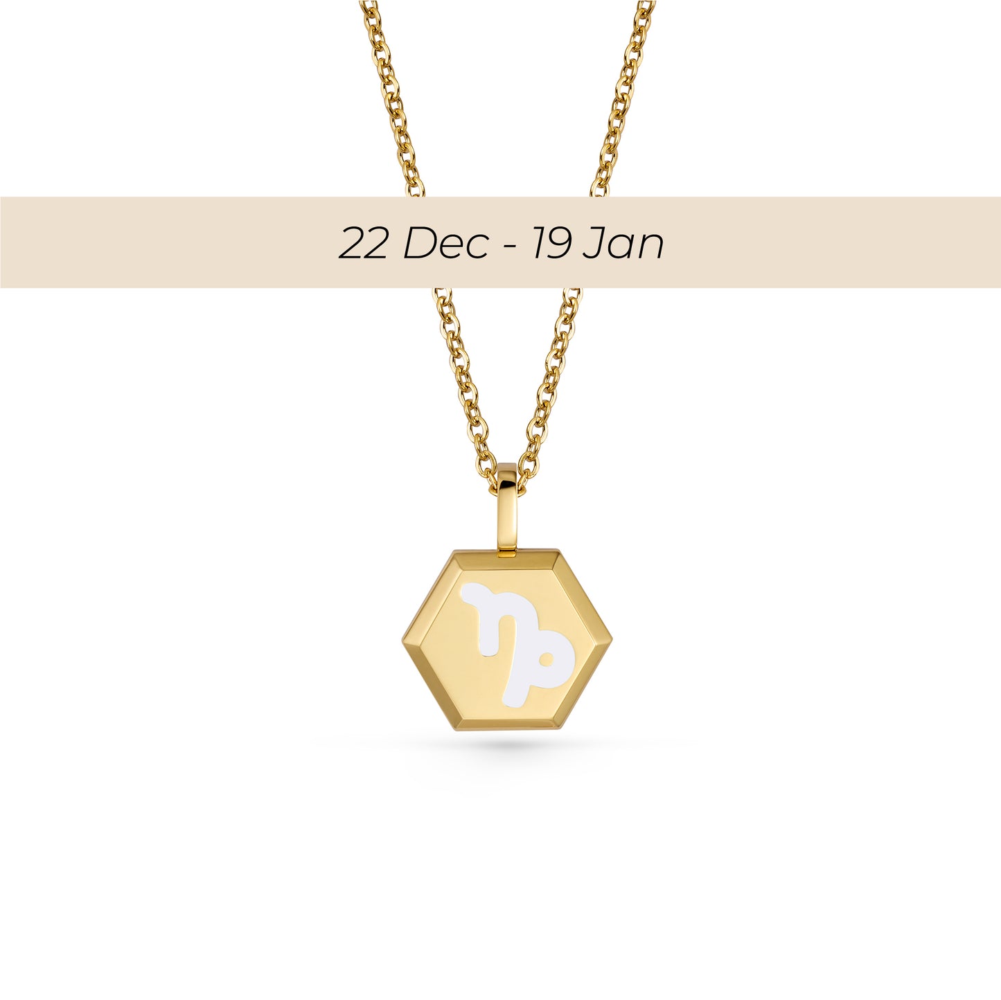 Capricorn Zodiac Pendant Necklace