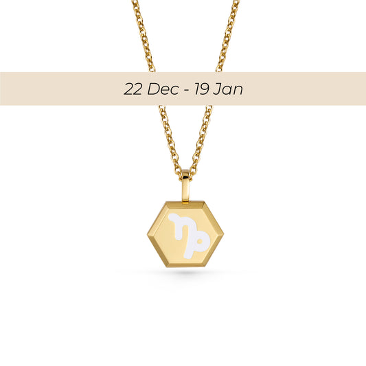 Capricorn Zodiac Pendant Necklace