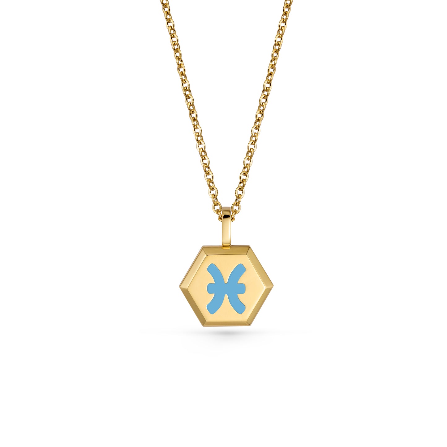 Pisces Zodiac Pendant Necklace (Gold / Silver)