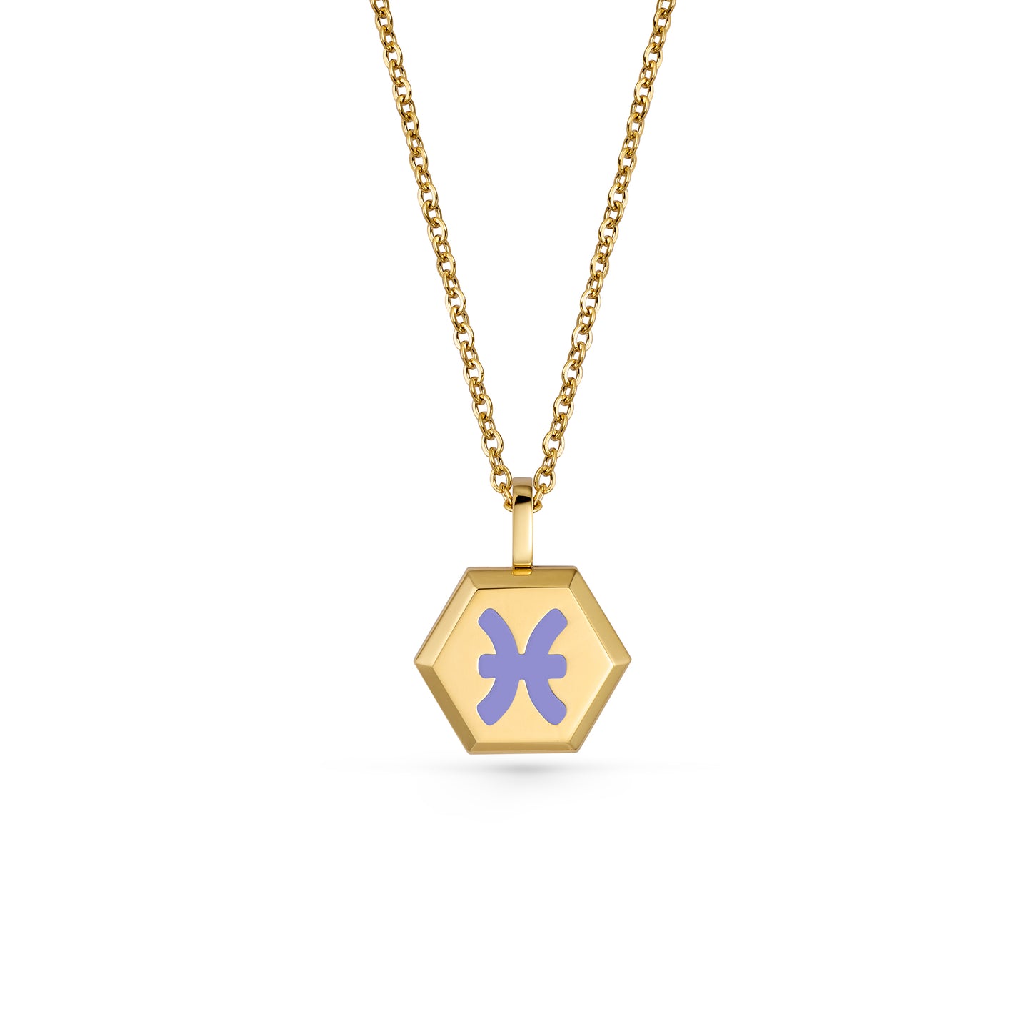 Pisces Zodiac Pendant Necklace (Gold / Silver)